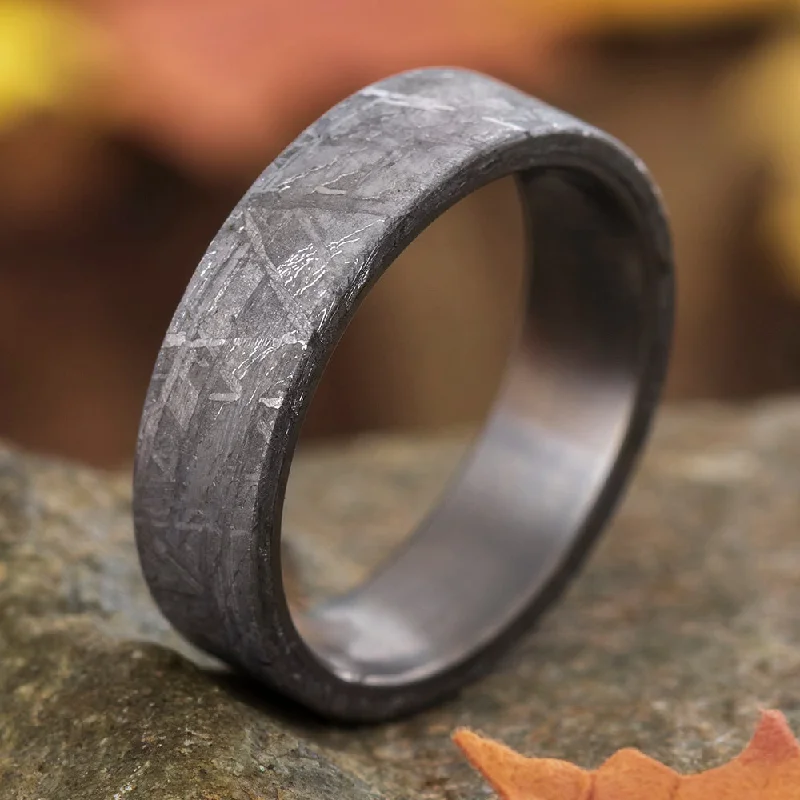 Titanium Men's Ring With Gibeon Meteorite Overlay